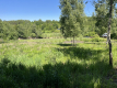 Działka 3580 m2 w Kazimierzu Dolnym 4 km od rynku.
