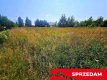 Działka nad Jeziorem Krasne - zabud. jednorodzinna
