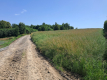 Gm. Rybczewice - Częstoborowice -siedlisko - 20ar
