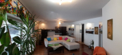Opole Lubelskie  - dom + 32 ar