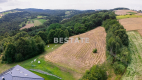 Działka budowlana, widokowa w Paleśnicy