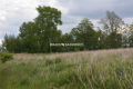 Działka budowlano-rolna o pow.: 1519 m2