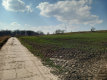 Jakubowice Murowane, gm. Wólka-działka 6600m2
