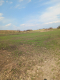 Jakubowice Murowane, gm. Wólka-działka 6600m2