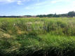Kożuchów, Podbrzezie Dolne, działka budowlana, 1100 m2, sprzedam, cena 88 000 zł.  
  
Działka budowlana z przeznaczeniem w mie