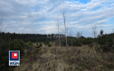 Zapraszam do zapoznania się z ofertą sprzedaży gruntu o powierzchni 14996 m2, położonej w Kłopotowie, gm. Lubin. 
 
Działka wed
