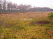 Sobin, działka inwestycyjna, 1,79 ha, 1 000 000 zł, sprzedam.  
  
Na sprzedaż działka inwestycyjna o powierzchni 1,79 ha położ