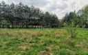 Dąbrowa, gmina Polkowice, działka budowlana, 13200 m2, sprzedaż, 594 000 zł.  
  
Na sprzedaż grunt budowlany w miejscowości Dą