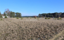 Jesiona, działka budowlana, 1724 m2, 125 000 zł, sprzedam.  
  
W ofercie sprzedaży działka letniskowa z możliwością zabudowy c