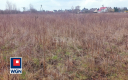 Ścinawa, działka budowlana 1200m2, sprzedaż 80000zł.  
  
Zapraszam do zapoznania się z ofertą sprzedaży działki położonej w Śc