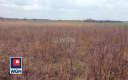 Ścinawa, działka budowlana 1200m2, sprzedaż 80000zł.  
  
Zapraszam do zapoznania się z ofertą sprzedaży działki położonej w Śc