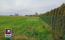 Kłobuczyn, gmina Gaworzyce, działka budowlana, 1323m2, cena 39 000zł.  
  
Zapraszam do zapoznania się z ofertą działek znajduj