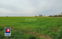 Kłobuczyn, gmina Gaworzyce, działka budowlana, 1323m2, cena 39 000zł.  
  
Zapraszam do zapoznania się z ofertą działek znajduj