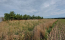 Bobrzany, działka budowlana, 1666 m2, cena 50 000 zł, sprzedam.  
  
Na sprzedaż działka budowlana z dostępem do drogi gminnej 