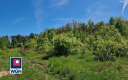 Nowa Kopernia, działka 1700 m2, cena 102 000 zł, sprzedam.  
  
Na sprzedaż działka budowlana w rejonie Szprotawa/Nowa Kopernia