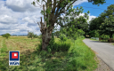 Wiechlice, działka budowlana, 1603 m2, cena 96 180 zł, sprzedam.  
  
Na sprzedaż działka nr 141/2, z wydanymi warunkami zabudo