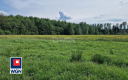 Krzywczyce, działka 12 422 m2, sprzedam, cena 149 000 zł.  
  
 Oferta wyłacznie w WGN Nieruchomości.  
  
 Sprzedam duża dział