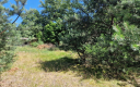 Sieraków, działka siedliskowa, 1700 m2, sprzedam, cena 139 000 zł.  
  
 Oferta wyłącznie w WGN Nieruchomości.  
  
 Sprzedam d