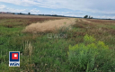 Chichy, działka budowlana 1300 m2, sprzedam, cena 58 500 zł.  
  
Oferta wyłącznie w WGN Nieruchomości.  
  
Sprzedam działkę b