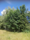 Kolonia Garbatówka, działka rolna, 3,18 ha!!