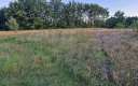 Henryków, działka budowlana, 2821 m2, sprzedam, cena 149 000 zł.  
  
Oferta wyłącznie w WGN Szprotawa  
  
Sprzedam działkę bu
