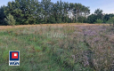 Henryków, działka budowlana, 2681 m2, sprzedam, cena 179 000 zł.  
  
Oferta wyłącznie w WGN Szprotawa  
  
Sprzedam działkę bu