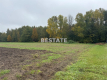 Działka 3 000m2 pod lasem w dobrej cenie.
