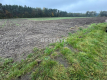 Działka 3 000m2 pod lasem w dobrej cenie.