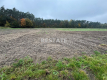 Działka 3 000m2 pod lasem w dobrej cenie.