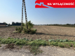 Działka rolno-budowlana 0,31 ha w Gołębiu k/Puław.