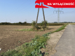 Działka rolno-budowlana 0,31 ha w Gołębiu k/Puław.