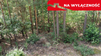 Działka letniskowa 800 m2 w Woli Chodkowskiej.