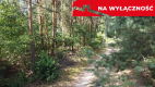 Działka letniskowa 800 m2 w Woli Chodkowskiej.