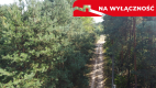 Działka letniskowa 800 m2 w Woli Chodkowskiej.