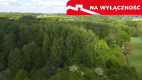 Działka 2,15 ha z potencjałem koło Nałęczowa.