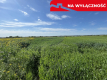 Działka 0,82ha U/MN Wólka gm. Długie pod Lublinem.