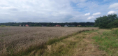 Piękna działka budowlana blisko lasu- 17ar-Świdnik