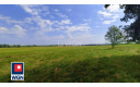 Jędrzychów, działka rolna, 7000m2, 150 000zł, sprzedam.


Zapraszam do zapoznania się z ofertą działki rolnej położonej w miejs