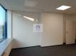 Śródmieście: lokal biurowy 221,21 m2 do wynajęcia