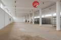 Hala mag. - prod. pow. 860 m2 w centrum Proszowic!