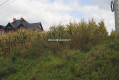 Działka budowlana w Proszowicach