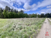 Działka budowlana blisko Sobolewa.