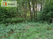 Duża działka przy lesie bez sąsiedztwa