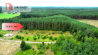 Cegielnik działka 1356m2 ze ścianą lasu