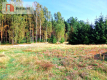 Działka budowlana ze ścianą lasu .