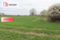 Działka rolna 0,95 ha/Wilków Średzki/Dobry dojazd