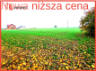 Działka z WZ zaledwie 4 km od Człuchowa!