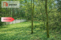 2 działki - Grabowiec . Wydane WZ - w zaciszu lasu