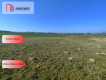 Działki w super cenie z decyzją o wz! Jastrzębiec