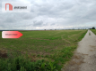 Działki z WZ - Zielonczyn